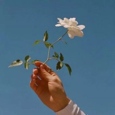 传奇12生肖版本手游